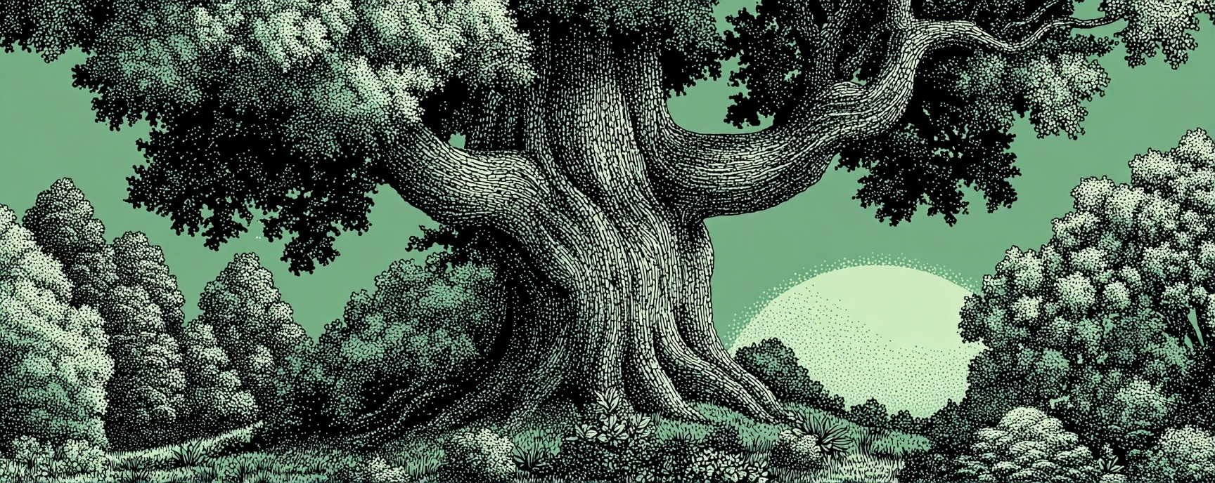 I Spent 5 Years Building Murmur Labs. Here's What Killed It.